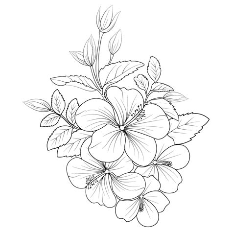 Set a botanical hibiscus flower bouquet, Hibiscus flower painting ...