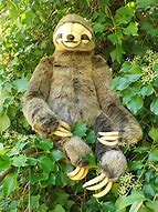 Image result for Cute Sloth Stuffed Animal