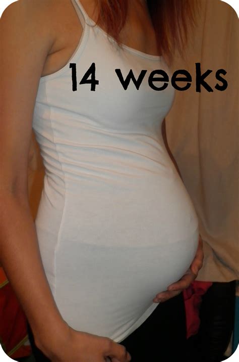The Adventure of Parenthood: 14 Weeks Pregnant