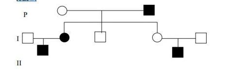 Study the following pedigree chart and answer the questions that follow ...