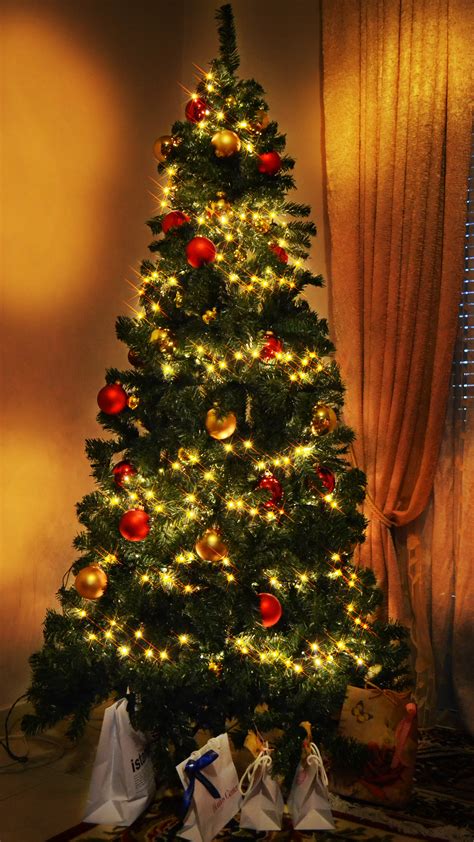 Free Images : warm, love, red, holiday, christmas tree, christmas ...