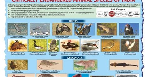 Critically Endangered Animal Species of India