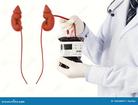 Doctor cure Kidney disease stock image. Image of care - 156548893