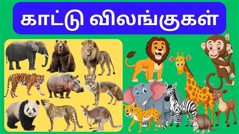 Image result for Public Main Java