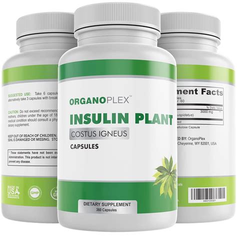 The Best Supplement For Insulin Resistance: What To Take Before You Buy