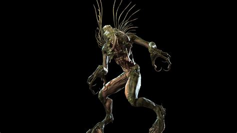 Image result for Amphibia Beta