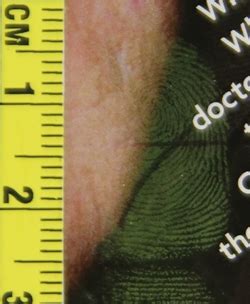 Universal Imaging System - HORIBA