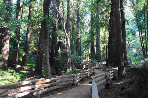 Pfeiffer Falls Trail (Pfeiffer Big Sur State Park, CA) – Live and Let Hike