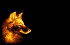 Orange Wolf Wallpaper by Orange Wolf Last Dump 1600x1024 Wallpaper High Quality Orange Wolf Wallpaper
