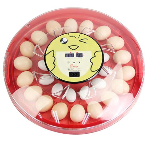 Buy 30 Egg Incubator, Hatching Eggs, Automatic Turning and Humidity ...