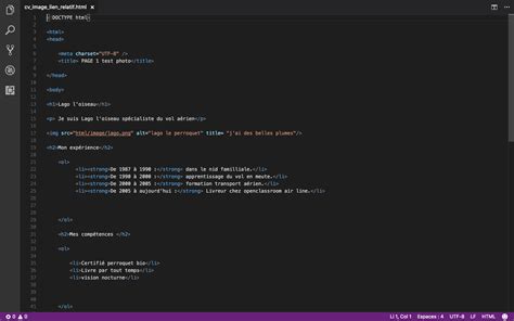 Code HTML Pour Faire Un CV 的图像结果
