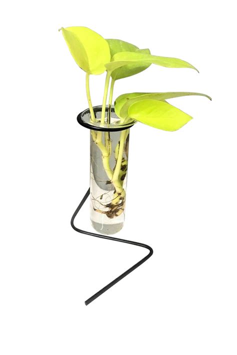 Desktop Garden - Z metal Planter – sustainme.in