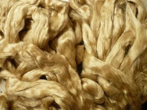 Image result for Muga Silk Color