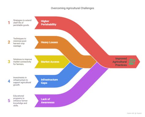 Bridging the Gap: Connecting Farmers to Markets with Cold Chain ...