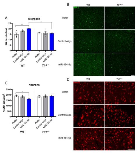 Cells | Special Issue : Microglia in Neurological Diseases