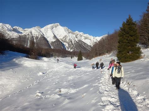 Ciaspolata da Zoppè di Cadore ai piedi del Pelmo, Zoppè di Cadore ...