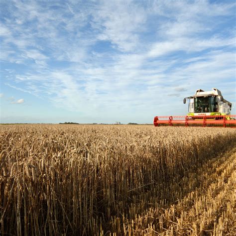 Extensive Farming 的图像结果