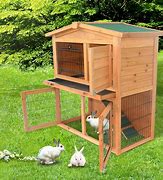 Image result for Rabbit Cage Setup