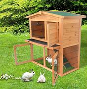 Image result for Rabbit Cage Set Up