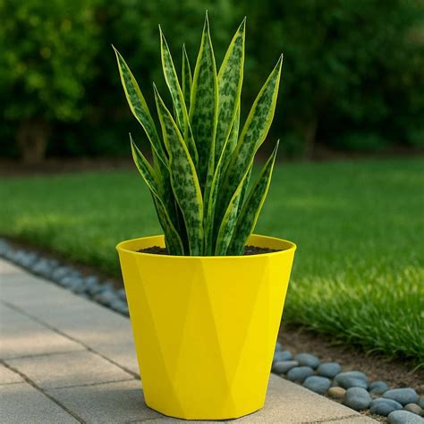 Dyna Pots Manufacturer & Supplier from India