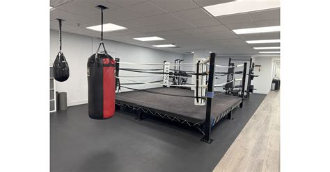 NYC Entrepreneur and Tech CEO Dan Herbatschek Leverages Boxing to Drive ...