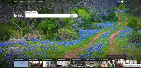 Bing学术 的图像结果