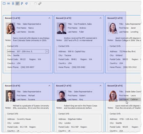 DevExpress WinForms GridView Card 的图像结果