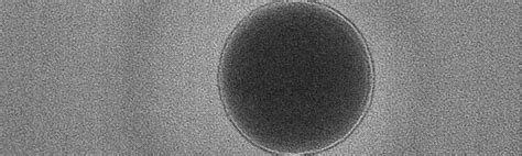 SiO2 Particles 的图像结果