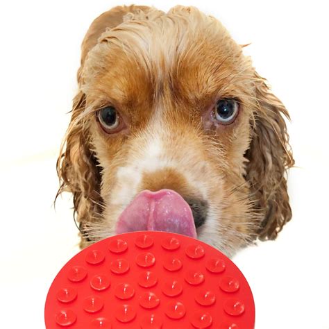 Buy AtEase Accents New Best Bath Pet Bathing Tool- Dog Lick Pad – Bath ...