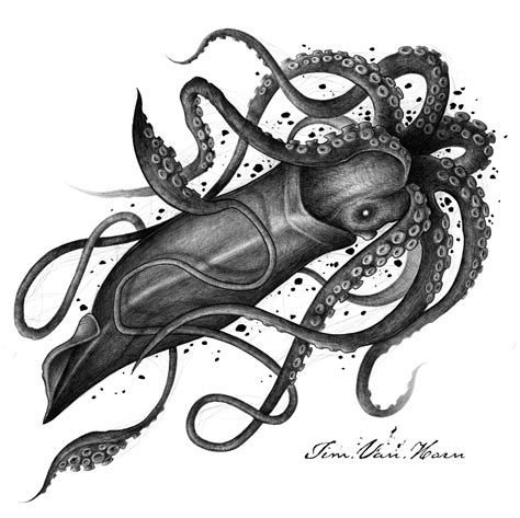 Giant squid pencil illustration by tim van horn | Squid drawing, Giant ...