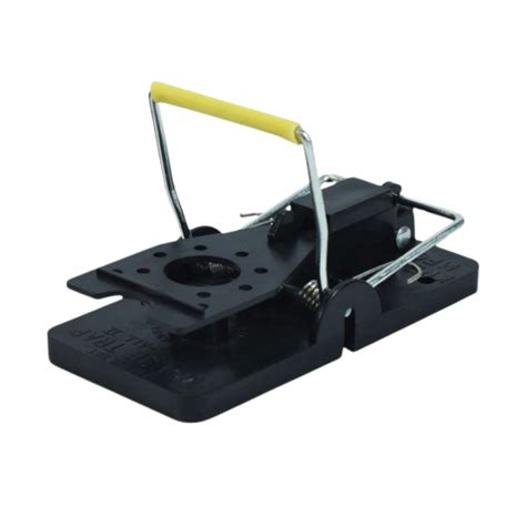 Outsmart Mice Yourself: 10 Best Food Baits For Mouse Traps – PestBuddy