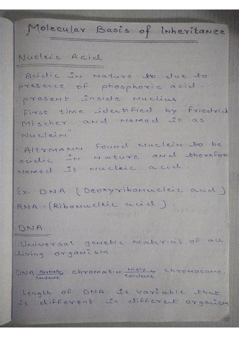 Bio 12 - Lecture notes - Molecular Basis of Inheritance Nucleic Acid ...