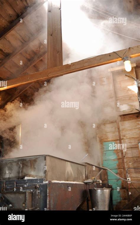 Image result for Making Maple Syrup