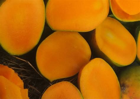 Accel Global Exim Surat - Wholly Milled Parboiled Rice Exporter