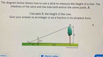 Image result for Proper Way to Measure the Height of a Tree Using a Tree Scale Stick