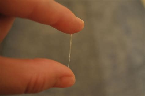 Creamy Discharge End Of Cycle at Tayla Hamlyn-harris blog