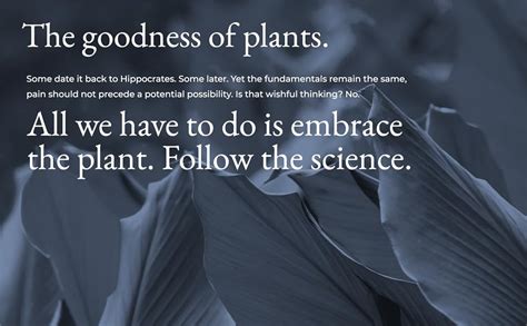 Buy ZEROHARM HoloDiabetis - Diabetes Medicine - Blood Sugar Control ...