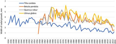 Interrelation of the Radial Increment of Trees with Various Factors
