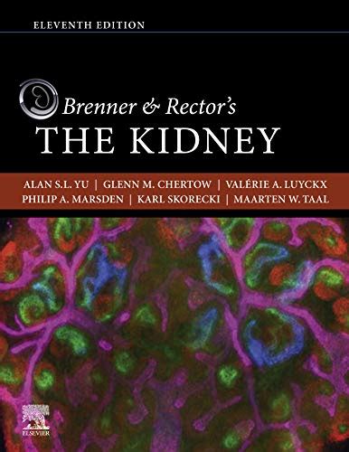 Brenner and Rector's The Kidney E-Book eBook : Marsden, Philip A ...