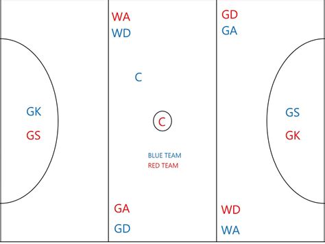 Netball Court Layout 的图像结果