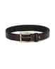 Buy Brown Belts for Men by PACIFIC GOLD Online | Ajio.com
