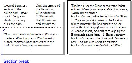Image result for Continuous Section Break