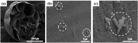 Encapsulation and Release Control of Fish Pathogen Utilizing Cross ...