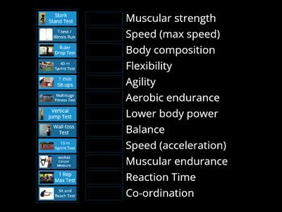 Image result for Types of Exercise Test