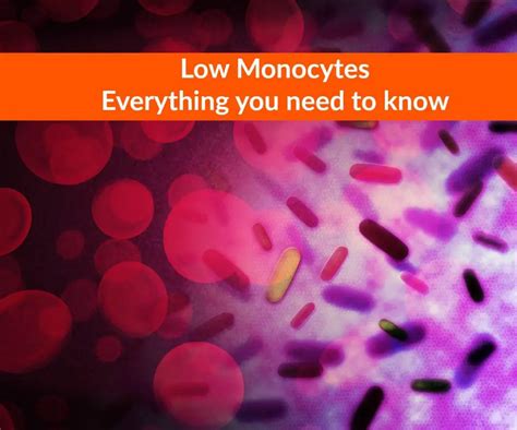 Low Monocytes - Symptoms, Causes, Treatment, Diet