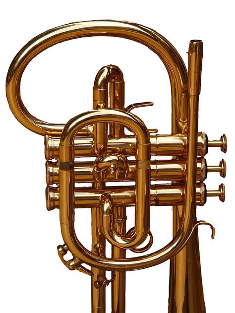 Image result for Cornet Musical Instrument