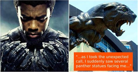 Chadwick Boseman Got 'Strange Signs' About Being Black Panther Years ...