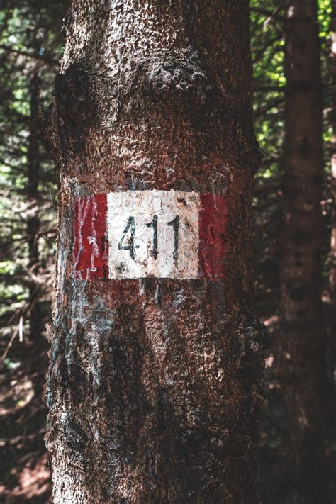 Angel Number 411 Meaning: Get The 411 From Your Angels