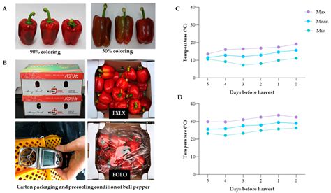 Extension of Shelf Life and Postharvest Quality of Bell pepper ...