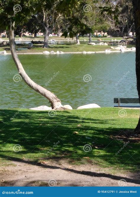 Mile Square Park stock image. Image of plant, bayou, square - 95412791